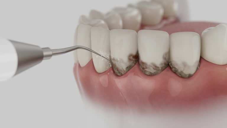 Reliable Dental contractor in Lynn Haven, FL by Dentist Open Now